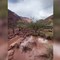 Inondazione improvvisa al Grand Canyon, le immagini dell'onda di fango