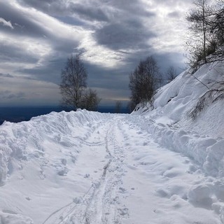 Frana sulla Panoramica Zegna: chiusa la SP 232 dal lato Valdilana