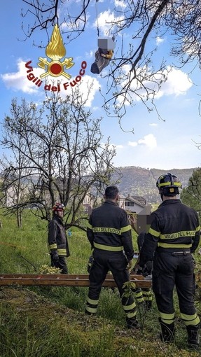 Dal Nord Ovest - Parapendista rimane incastrato su un albero, salvato nel Canavese