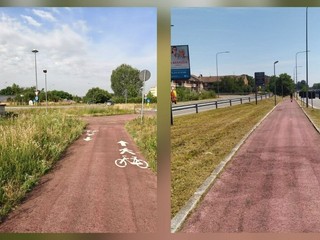 Gestione del verde a Biella, Seab: "Non era erba, era fieno" FOTO e VIDEO
