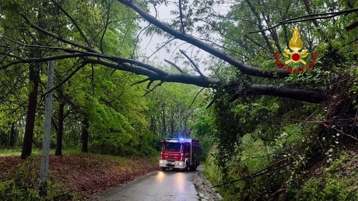 Nuovi disagi per il maltempo tra alberi caduti e danni d’acqua: interventi a Biella, Sagliano Micca e Miagliano (foto di repertorio) Nuovi disagi per il maltempo tra alberi caduti e danni d’acqua: interventi a Biella, Sagliano Micca e Miagliano (foto di repertorio)