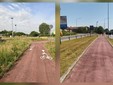 Gestione del verde a Biella, Seab: "Non era erba, era fieno" FOTO e VIDEO