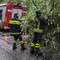 Piante sulla strada a Miagliano, intervento dei Vigili del Fuoco in piena notte (foto di repertorio)