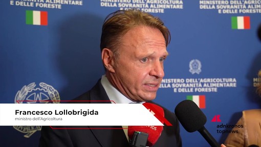 Commercio, Federdistribuzione: Lollobrigida (Masaf), 'Tanti nostri prodotti già nel nome evocano territori, come la burrata di Andria o il rosso di Montalcino'