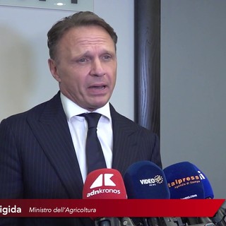 Agricoltura, Lollobrigida: "L'UE cambi passo su competitività e fondi, difesi 9 miliardi per l'Italia"