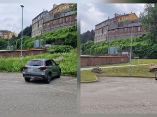 Gestione del verde a Biella, Seab: "Non era erba, era fieno" FOTO e VIDEO