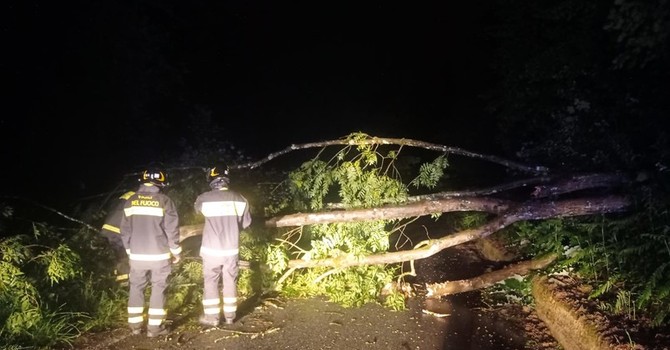 Maltempo nel Biellese, a Strona in frazione Calvino senso unico alternato