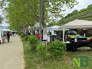 Arte e Artigianato sul Lago di Viverone FOTO Davide Finatti per newsbiella.it