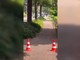 Sparatoria in Germania, paura in strada dopo l'attacco
