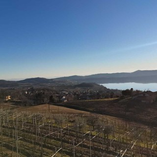 In cammino verso l'inclusione, conto alla rovescia per la passeggiata benefica di Viverone