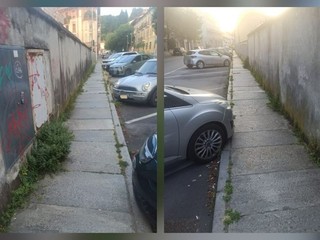 Gestione del verde a Biella, Seab: "Non era erba, era fieno" FOTO e VIDEO