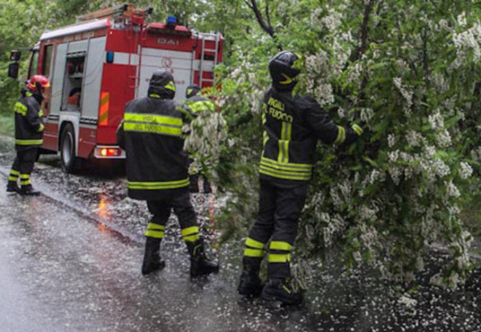 Piante sulla strada a Miagliano, intervento dei Vigili del Fuoco in piena notte (foto di repertorio)