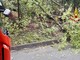 Alberi a terra in Valsessera, palo pericolante a Occhieppo: mattinata di interventi per i Vigili del Fuoco (foto di repertorio)
