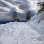 Frana sulla Panoramica Zegna: chiusa la SP 232 dal lato Valdilana