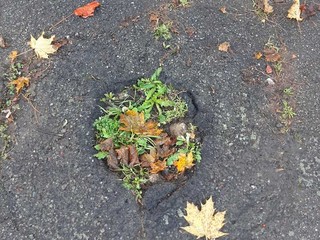 Tu chiamala se vuoi...sicurezza