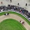 Ippica: grande spettacolo all'Ippodromo Snai di San Siro per la 104esima edizione del Jockey Club S.I.R.E. Ippica: grande spettacolo all'Ippodromo Snai di San Siro per la 104esima edizione del Jockey Club S.I.R.E.