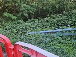 Biella, guardrail rotto al Vandorno, il Comune pronto a intervenire VIDEO Biella, guardrail rotto al Vandorno, il Comune pronto a intervenire VIDEO