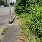 Erba alta e buche in città. Leone: "Biella soffre di una carenza eclatante di manutenzione ordinaria"