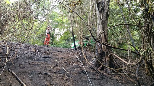 Biella, incendio di sottobosco tra Pavignano, Vaglio e Colma Biella, incendio di sottobosco tra Pavignano, Vaglio e Colma