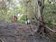 Biella, incendio di sottobosco tra Pavignano, Vaglio e Colma Biella, incendio di sottobosco tra Pavignano, Vaglio e Colma
