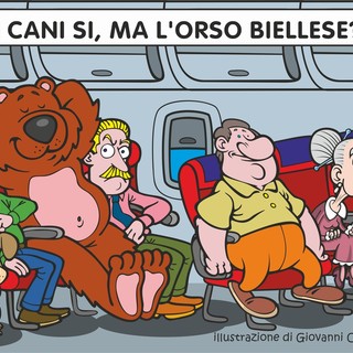 Voli, via libera ai cani in cabina: ci sarà posto per l'orso biellese?