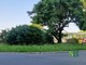 Biella, verde pubblico a Seab: appello ai privati e in arrivo nuove modalità di segnalazioni Biella, verde pubblico a Seab: appello ai privati e in arrivo nuove modalità di segnalazioni