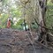 Biella, incendio di sottobosco tra Pavignano, Vaglio e Colma Biella, incendio di sottobosco tra Pavignano, Vaglio e Colma