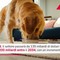 Pet food, previsto boom nel 2034: crescita 48% e 200 miliardi Pet food, previsto boom nel 2034: crescita 48% e 200 miliardi