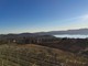 In cammino verso l'inclusione, conto alla rovescia per la passeggiata benefica di Viverone In cammino verso l'inclusione, conto alla rovescia per la passeggiata benefica di Viverone