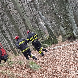 Masserano, Vigili del Fuoco in soccorso di un uomo nel bosco , foto archivio