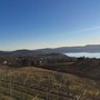 In cammino verso l'inclusione, conto alla rovescia per la passeggiata benefica di Viverone In cammino verso l'inclusione, conto alla rovescia per la passeggiata benefica di Viverone