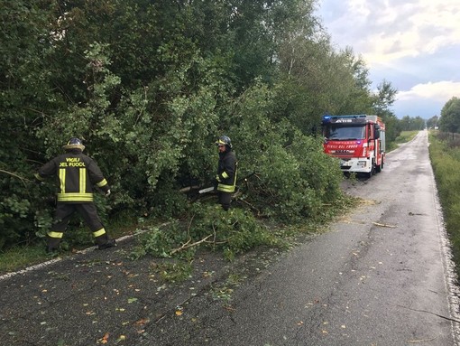 piogge maltempo