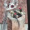 Maltempo Cremona, il video dall'alto dei vigili del fuoco che mettono in sicurezza la torre civica Maltempo Cremona, il video dall'alto dei vigili del fuoco che mettono in sicurezza la torre civica