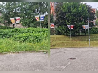 Gestione del verde a Biella, Seab: "Non era erba, era fieno" FOTO e VIDEO