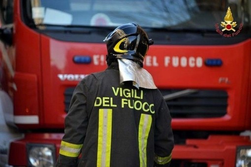 Un cane finisce in una zona impervia della Valle Cervo, recuperato dai Vigili del Fuoco (foto di repertorio) Un cane finisce in una zona impervia della Valle Cervo, recuperato dai Vigili del Fuoco (foto di repertorio)