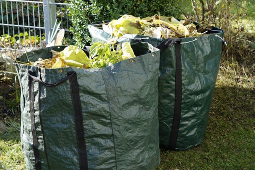 Portula, abbattimento della vegetazione lungo la provinciale: previsti sensi unici alternati e brevi stop al traffico Portula, abbattimento della vegetazione lungo la provinciale: previsti sensi unici alternati e brevi stop al traffico