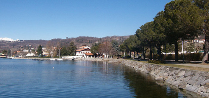 viverone autore
