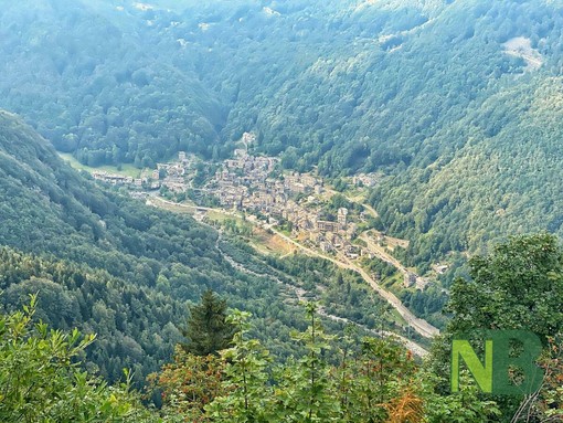 Uncem Piemonte, censito il patrimonio forestale: 970mila ettari - Foto di repertorio Uncem Piemonte, censito il patrimonio forestale: 970mila ettari - Foto di repertorio