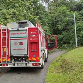 Raffiche di vento nel Biellese, piante a terra nella notte: oltre 15 interventi dei Vigili del Fuoco (foto di repertorio)
