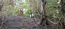 Biella, incendio di sottobosco tra Pavignano, Vaglio e Colma