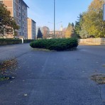 Tu chiamala se vuoi...sicurezza