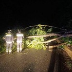 Tromba d’aria a Buronzo, piante a terra nella notte a Biella e Valdilana (foto di repertorio) Tromba d’aria a Buronzo, piante a terra nella notte a Biella e Valdilana (foto di repertorio)