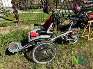 A Candelo è giornata di vendemmia tra sorridi e solidarietà FOTO Davide Finatti