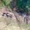 Calabria, arrestato dopo aver appiccato un incendio: era stato ripreso da un drone