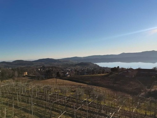 In cammino verso l'inclusione, conto alla rovescia per la passeggiata benefica di Viverone In cammino verso l'inclusione, conto alla rovescia per la passeggiata benefica di Viverone