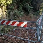 Via per Tollegno, masso e albero caduti, una lettrice: "Serve un intervento, sono passati 2 anni" Via per Tollegno, masso e albero caduti, una lettrice: "Serve un intervento, sono passati 2 anni"