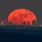 La Luna Rossa che attraversa lo skyline di Milano è nata sulle alture di Nebbiuno FOTO Valerio Minato La Luna Rossa che attraversa lo skyline di Milano è nata sulle alture di Nebbiuno FOTO Valerio Minato