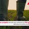 Agroindustria, Cuneo lancia Tra_in: formazione, imprese e filiere integrate