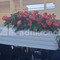 Funerali Lorena Isceri, l'uscita del feretro tra applausi e palloncini in cielo