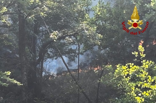Incendio in alta Valsesia: continua il dispositivo di soccorso coordinato dai Vigili del Fuoco Incendio in alta Valsesia: continua il dispositivo di soccorso coordinato dai Vigili del Fuoco